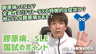 膠原病ってなに？全身性エリテマトーデスの特徴的な症状は？他にどんな膠原病がある？膠原病、SLE学習ポイント／免疫系／【看護師国試対策】