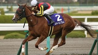 阪神ＪＦ＆ＮＨＫマイルＣを制したメジャーエンブレムが引退!