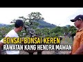 ULASAN SINGKAT BONSAI-BONSAI KEREN RAWATAN KANG HENDRA MAWAN