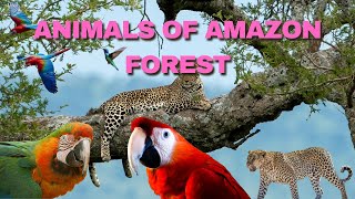 Animals of Amazon Forest/মহাবন আমাজনের জীববৈচিত্র্য