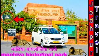 Machia Biological Park Jodhpur | प्रसिद्ध माचिया जैविक पार्क जोधपुर | Famous Machia Park Jodhpur