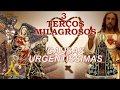 3 Terços Milagrosos - Causas Urgentíssimas, Santo Rosário