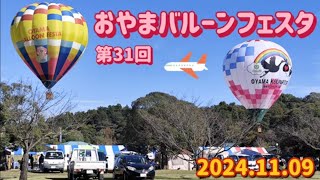 第３１回おやまバルーンフェスタ（小山市）