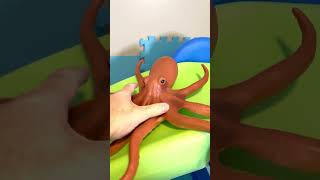 Octopus Toy Down Slide