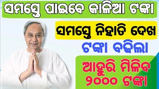 ବଢ଼ିଲା କାଳିଆ ଯୋଜନା ଟଙ୍କା - Kalia Yojana New Update 2024 - Kalia Yojana Money Increase Odisha