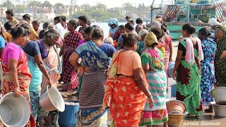 நாகப்பட்டினம் துறைமுகத்தில் மீன்பிடி தடைக்காலத்தில் மீன்கிடைக்குமா|எங்கு மீன் வாங்கலாம்|61நாள் தடையா