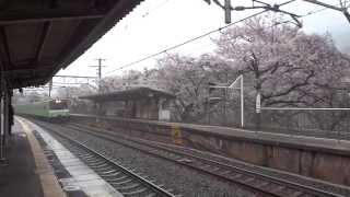 大和路線　河内堅上駅の桜と電車