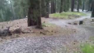 Ice Pellets Falling During Thunderstorm