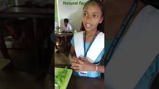 Natural Farming Exhibition || ପ୍ରାକୃତିକ ଉପାୟରେ ମିଶ୍ରିତ କୃଷି ||#science #exhibition #naturalfarming