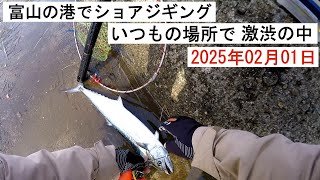 2025年02月01日 激渋の中　富山のいつもの場所で