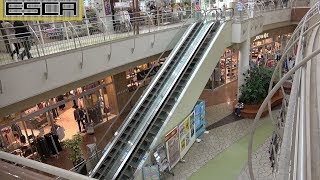 イオンモール名古屋みなと エスカレーター モールコート 1F-2F 往復 東芝 Toshiba AEON MALL NAGOYA MINATO