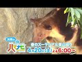 ハマナビ　次回予告（4月20日放送）