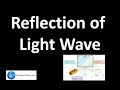 Reflection of Light Wave | Waves