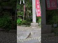 20240506神奈川県箱根町　箱根湯本　玉簾ノ瀧　玉簾神社⑤ 神奈川県箱根町 玉簾の瀧 玉簾神社 箱根湯本