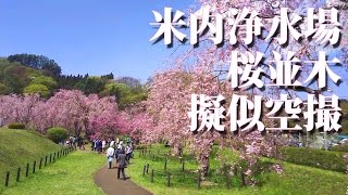 米内浄水場 桜 疑似空撮 2017 / 岩手県盛岡市