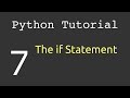 The if Statement (if elif else) : Python Tutorial #7
