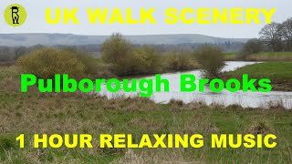 Pulborough Brooks Walk Scenery, 1 Hour Relaxing Music Ambient Background Nature Video