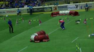 Gregory Bielle-Bidalot and Cayenne Jump indiv Large  France