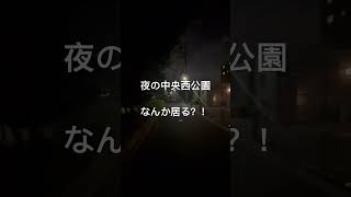 夜の中央西公園   2024年5月25日