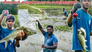 പാടത്ത് മീനുകൾ കൂട്ടത്തോടെ  പൊങ്ങിതുടങ്ങി. പിന്നെ സംഭവിച്ചത്....#kerala #fishing#kerala