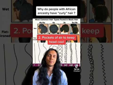 Is curly hair a sign of African ancestry?