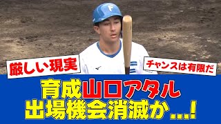 【悲報】新庄監督「もどかしい」育成山口への厳しい評価【日ハムファンの反応】【F速報】