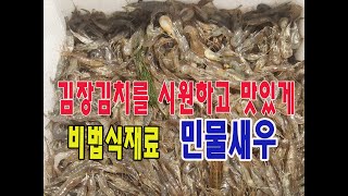 팔딱팔딱 살아있는 민물새우 김장김치를 시원하고 맛있게 해주는 비법 식재료