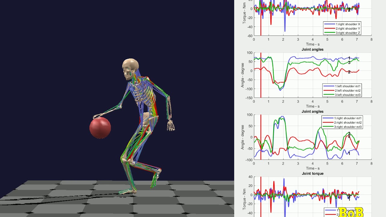 Biomechanical Analysis