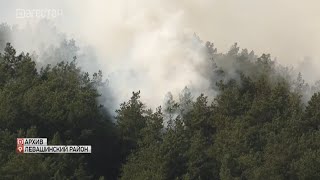 Пожар в Левашинском районе полностью ликвидирован