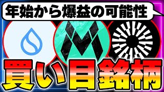 2025年1月が買い目になる銘柄を解説