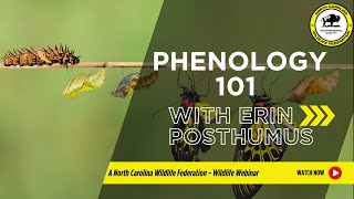 Phenology 101 with Erin Posthumus - North Carolina Wildlife Federation