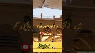 Molana saqib Raza Mustfai | islamic WhatsApp status | voice of legend #shorts