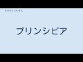 台湾の諸言語訳聖書