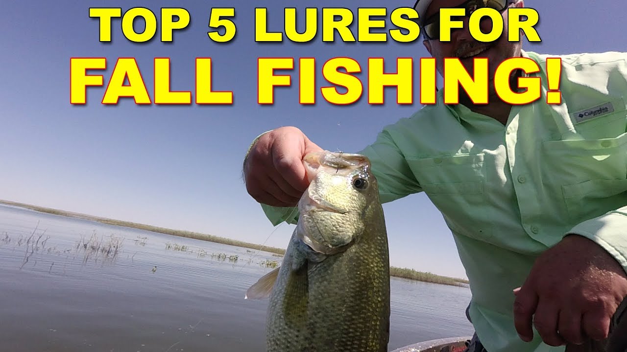 5 Best Lures For Fall Bass Fishing | How To | Bass Fishing - YouTube