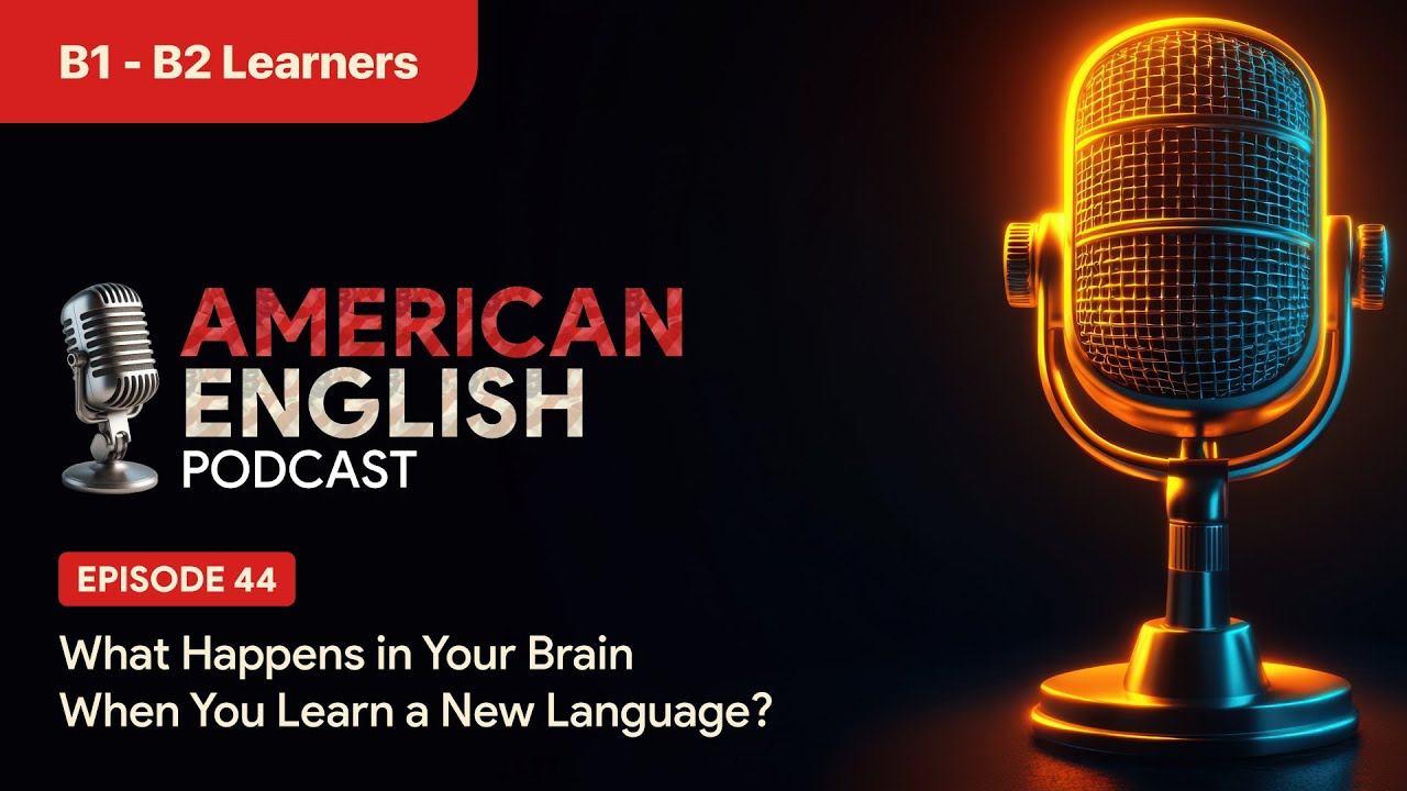 American English Podcast Episode 44 What Happens In Your Brain When
