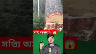 সত্যি অসাধারণ 😱 #shortvideo #youtube