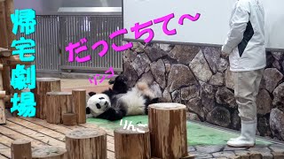 楓浜、お家へ帰ろう、屋内編・抱っこ狙ったけど飼育員さんから、「ひとりで帰ろうね」