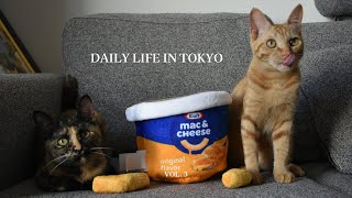 [🐈Tokyo Vlog🐈‍⬛] A Relaxing Day with a Rescue Cat, Making Macaroni and Cheese 🧀🍽️