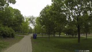 One commuter, four ways to get to work