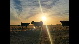 Developing a Drought Management Plan for the Ranch