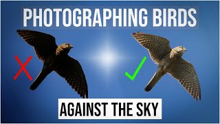 Bird photography, Photographing birds against the sky. Why are my pictures dark.