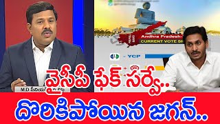 వైసీపీ ఫేక్ సర్వే....దొరికిపోయిన జగన్ : Mahaa Vamsi Analysis | CM Jagan | Election Survey | #SPT