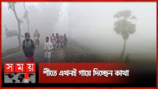 রংপুরে নামল শীত, দেখা দিল কুয়াশা | Winter Season | Cold Weather | Rangpur | Somoy TV