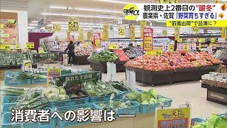 ”暖冬”で“野菜が育ちすぎ？ 観測史上2番目の平均気温で佐賀の農業に影響が…【佐賀県】 (24/03/07 18:40)