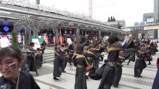 早稲田大学”踊り侍”＠ふるさと祭り東京2017　クリスタルアベニュー流し演舞