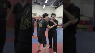 Wing Chun Chi Sao