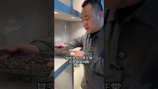 老惠安沉香纯肉料，树心结油。  喜欢沉香添加微信:553933885