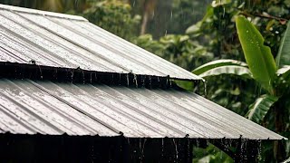 DUERME RÁPIDO en MINUTOS con lluvia torrencial sobre el techo de metal. SIN ANUNCIOS.