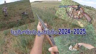 სეზონის გახსნა 2024-2025 - ნადირობა მწყერზე