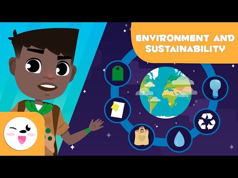 Who is responsible for a clean environment?